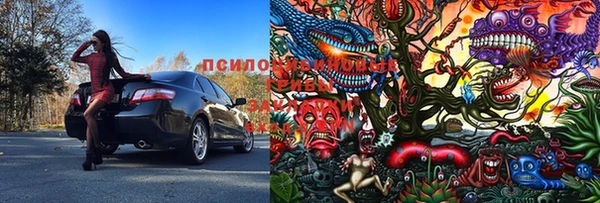apvp Белоозёрский
