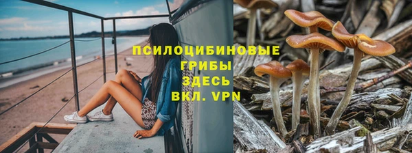 apvp Белоозёрский