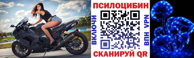блэк спрут ONION  Ульяновск  Псилоцибиновые грибы мицелий 