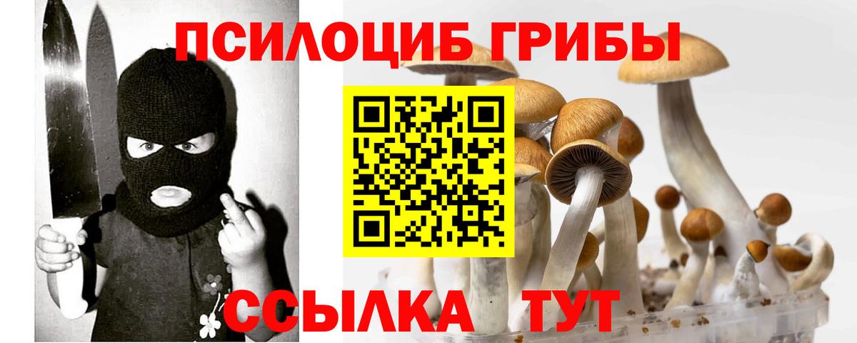 Псилоцибиновые грибы Psilocybine cubensis  Псилоцибиновые грибы прущие грибы  Ульяновск  Вход с VPN 